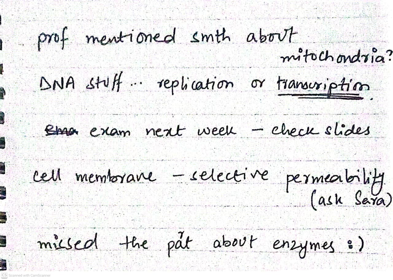 Handwritten notes - messy and hard to read